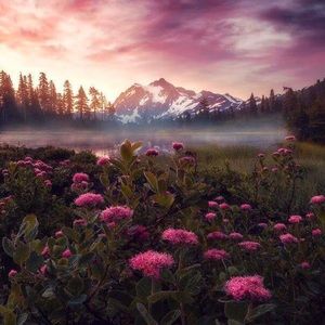 Meet your Posher, Ginger